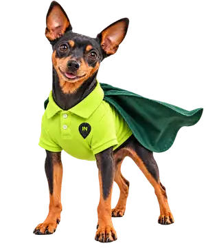 PIN, il pinscher supereroe di LatinaIN con la polo verde